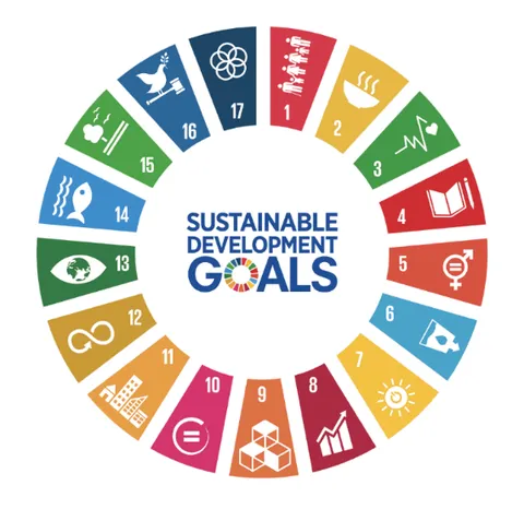 UN Sustainable Development Goals